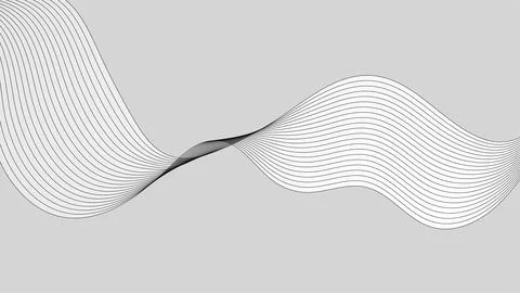 Abstract white black curved linear waves minimal elegant background 스톡 일러스트