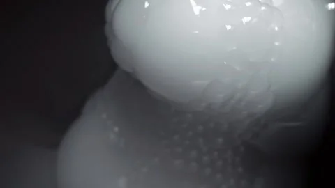 Abstract white bubbles on dark background Stock Footage 341936898