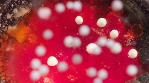 Abstract white cells moving on a bright red liquid texture background Video stock 118282347