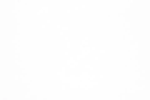 Abstract white cement texture background.cement wall texture for interior des Stock Photos