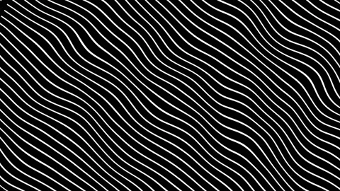 Abstract White curved lines in dynamic wave motion background. Animation pattern Stock Footage 149049979