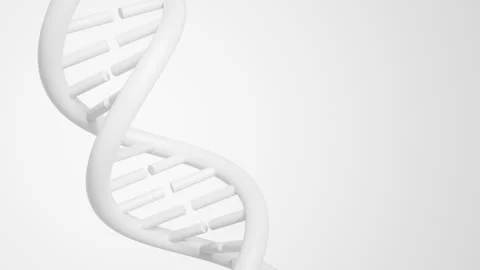 Abstract white DNA double helix rotating on a clean light background in a Stock Footage 340563300