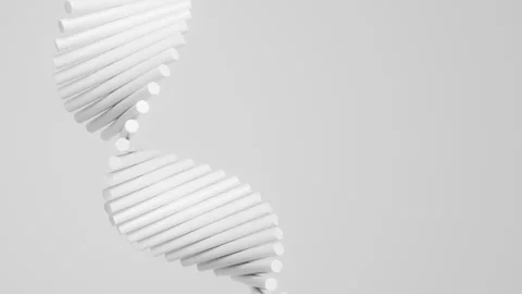 Abstract white DNA double helix made of molecular spheres and rods in a flowing Stock Footage 340563367