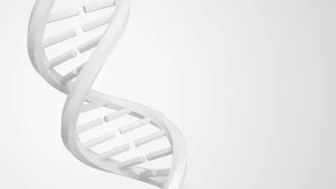 Abstract white DNA double helix rotating on a clean light background in a Stock Footage 340961565