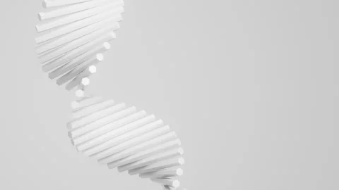 Abstract white DNA double helix made of molecular spheres and rods in a precise Stock Footage 340961608