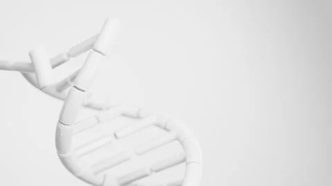 Abstract white DNA double helix assembling from separate molecular elements in a Stock Footage 340962027