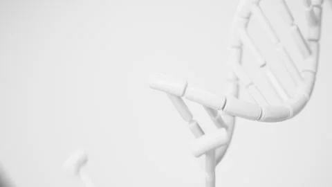 Abstract white DNA double helix assembling from separate molecular elements in a Stock Footage 341316251