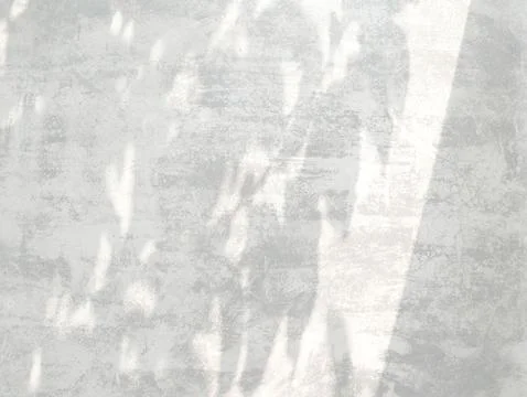 Abstract white gray background with natural leaves shadow Stock Photos
