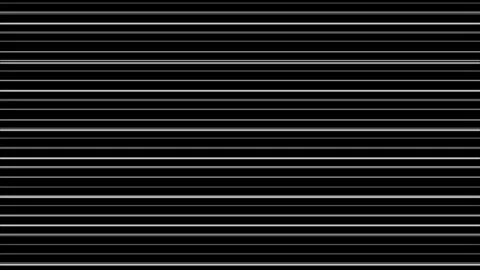 Abstract white horizontal lines on black background video Stock Footage 345344014
