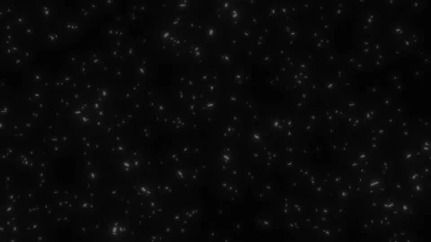 Abstract white insects quickly scurry back and forth against a black background. Stock Footage 167261057