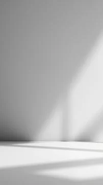Abstract white interior background with shadows on the wall Stock Photos