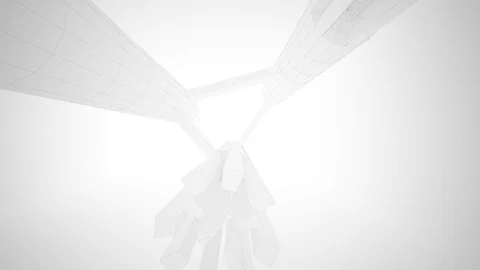 Abstract white interior highlights future. Architectural background. Stock Footage 75874565