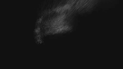 Abstract white letter x inside a circular frame with dispersing particle effe Video stock 343575709