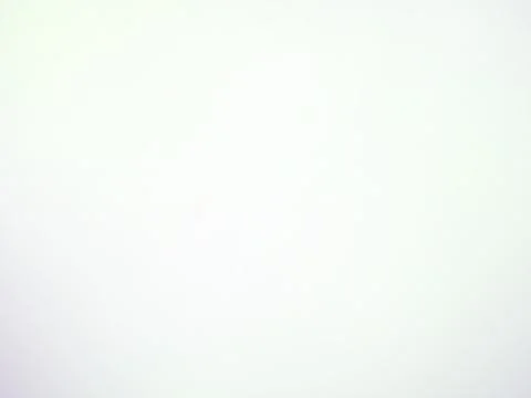 Abstract White Minimalist Gradient Background with Soft Subtle Texture for .. Stock Illustration