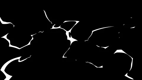 Abstract White Organic Lines and Fluid Shapes Animation on Black Background Stock Footage 329558634