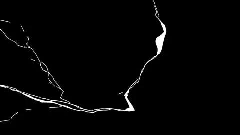 Abstract White Organic Lines and Fluid Shapes Animation on Black Background Stock Footage 329558635