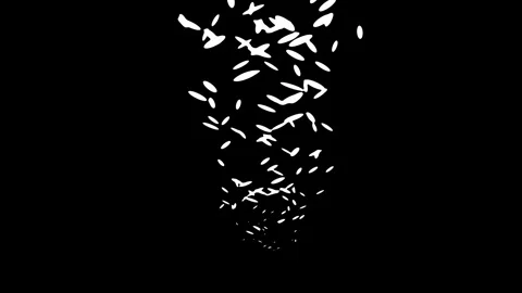Abstract white oval particles falling downwards on black background with mo.. 動画素材 335023192