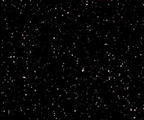 Abstract white particles on a black back... | Stock Video | Pond5