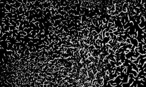 Abstract white particles on black background. Chaotic floating dust texture.. Stock Illustration