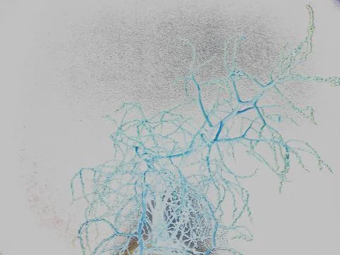 Abstract white patchwork dead tree and spray of water surface ruber sheet pro Fotos de archivo