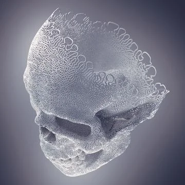 Abstract white plastic wire skull surrounded by light mist. 3d rendering 스톡 일러스트