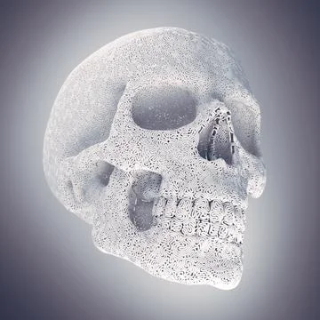 Abstract white plastic wire skull surrounded by light mist. 3d rendering Stock Illustration