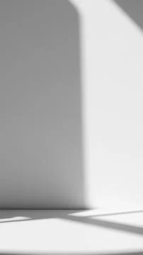 Abstract white room empty studio with shadow on the wall for display Stock Photos