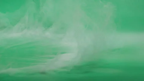 Abstract white smoke moving and rising on green screen background, fog texture Vídeos de archivo 310664382