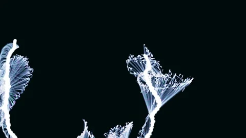 Abstract white spark rotate background animation Stock Footage 310517340