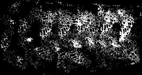 Abstract white sponge stains texture. Design for your brushes and grunge effects Stock Illustration