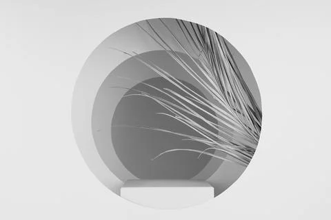 Abstract white stage with rectangle podium, tunnel of round frames, palm leav Stockfoto's