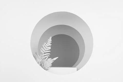 Abstract white stage with rectangle podium, frames of white circles, white fe Stock Photos