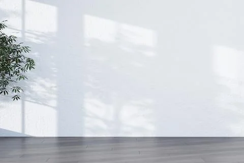 Abstract white studio background for product presentation empty room with sha Stock Illustration