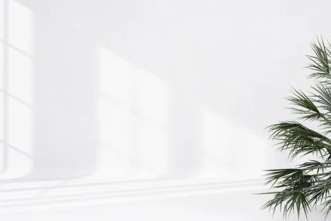 Abstract white studio background for product presentation empty room with sha Stock Illustration