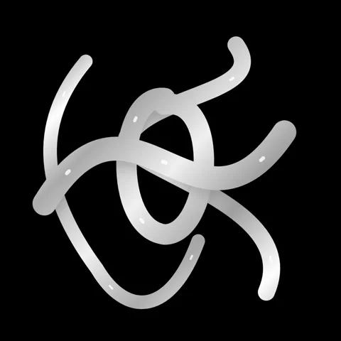 Abstract White Swirls and Lines on Black Background - Dynamic Motion Graphics Stock Footage 346282355