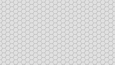 Abstract white texture background hexagon. Vector illustration. Stock Illustration