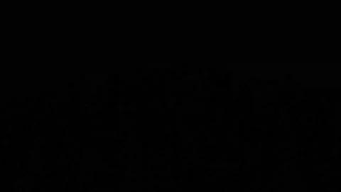 Abstract white triangles chaotic motion Stock Footage 323343776