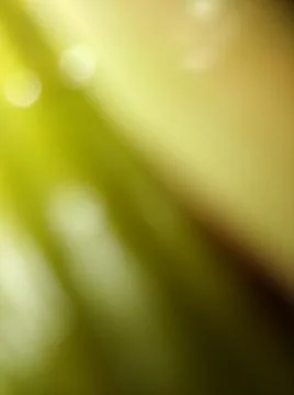 Abstract white wallpaper with different elements with shadows and light Foto stock