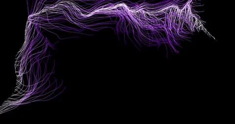 Abstract winding lines resemble a tree branch7 库存影片 330519744