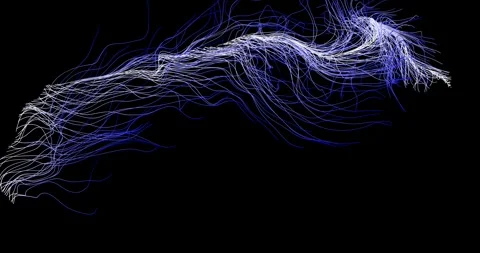 Abstract winding lines resemble a tree branch6 스톡 동영상 330519748