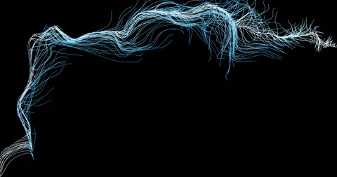 Abstract winding lines resemble a tree branch4 库存影片 330519757