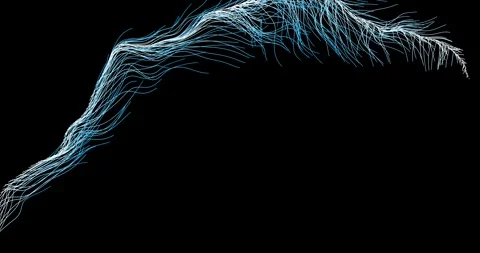 Abstract winding lines resemble a tree branch3 库存影片 330519760