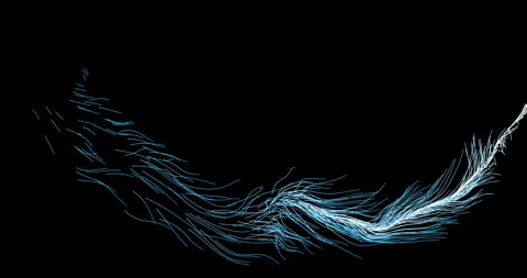 Abstract winding lines resemble a tree branch8 库存影片 330519768