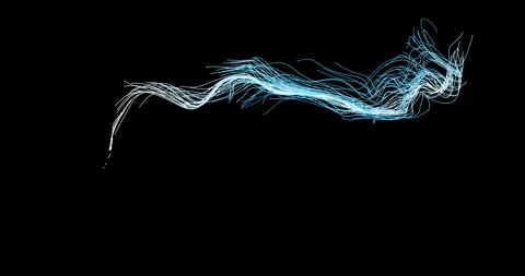 Abstract winding lines resemble a tree branch 库存影片 330519775