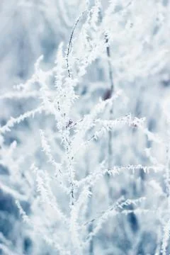 Abstract winter background Stock Photos