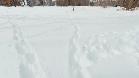 Abstract Winter Landscape With White Snow Surface Stock Footage 323769362