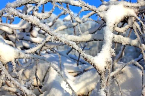 Abstract winter Stock Photos