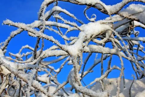 Abstract winter Stock Photos