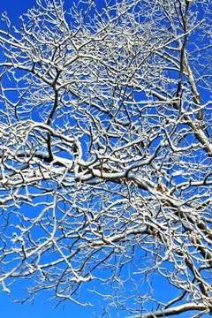 Abstract winter Stock Photos