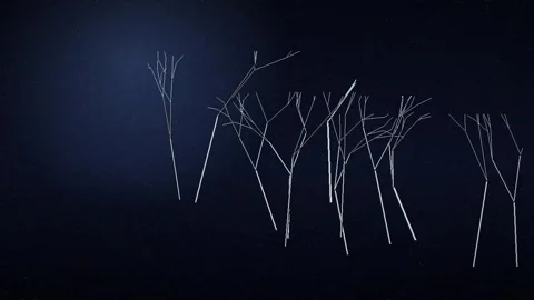 Abstract Wireframe Trees Growing on Dark Blue Night Background Video stock 347810090